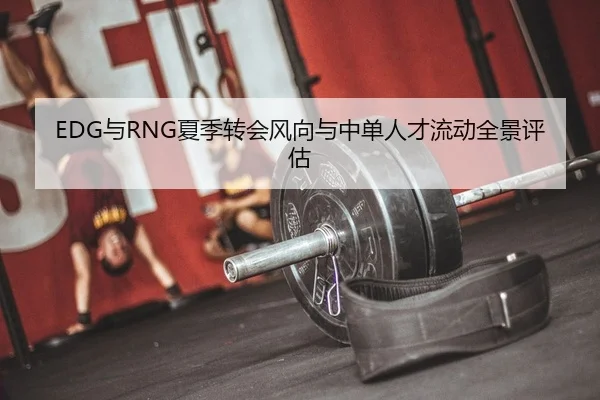 EDG与RNG夏季转会风向与中单人才流动全景评估